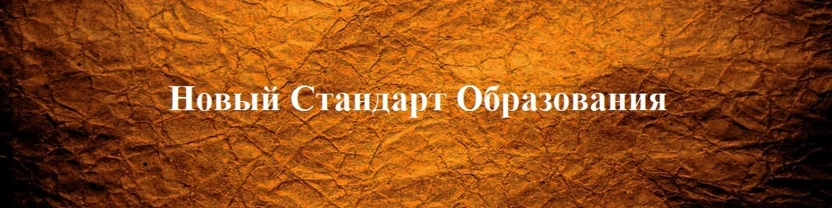 Новый Стандарт Образования и Мера Слова