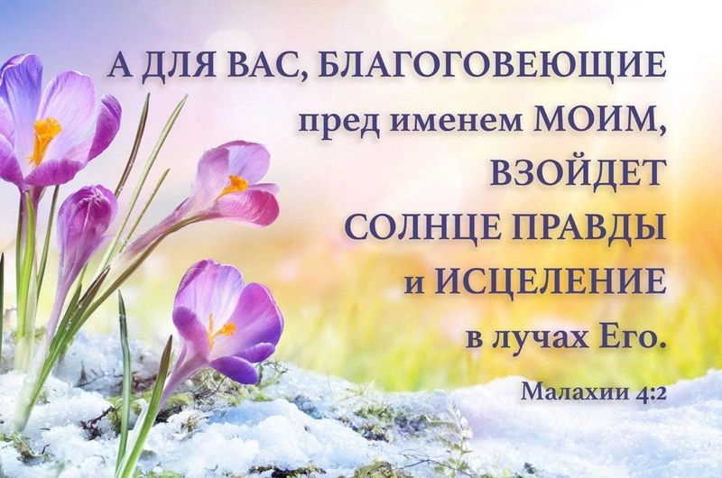 Пророк Малахия (ч.7): Грех шестой: сомнение в Божьей системе вознаграждения и наказания (3:13—4:3)