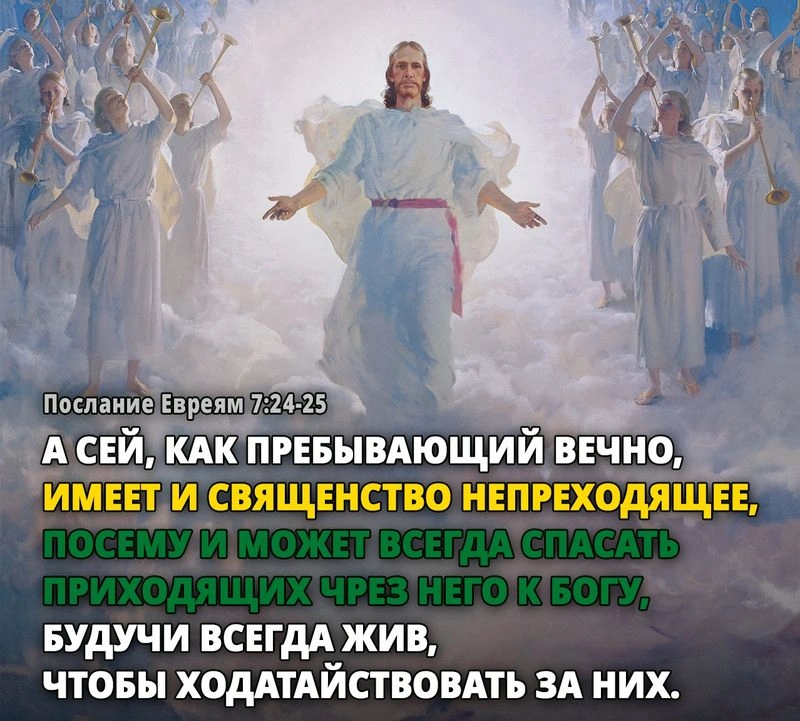 Послание к евреям (ч.27): Портреты Христа, нашего Первосвященника (7:23-28)