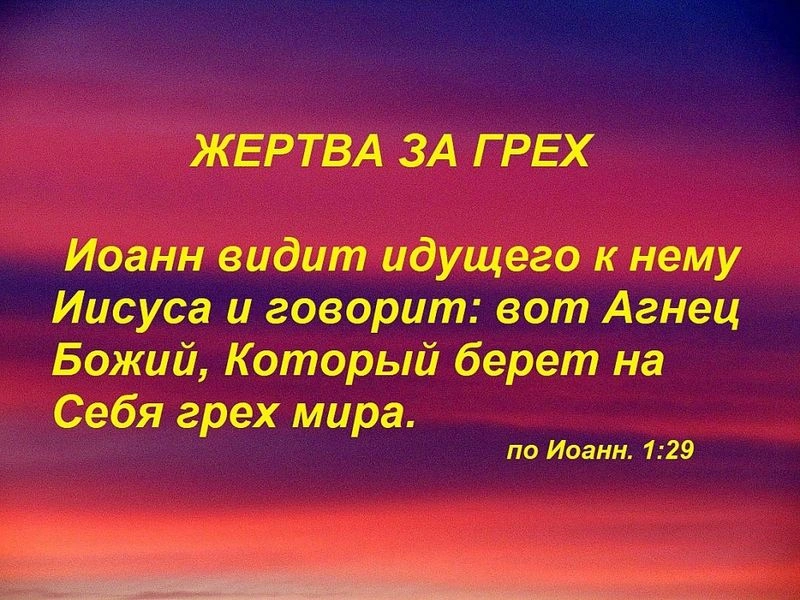 Жертва за грех: “Я глубоко раскаиваюсь, Господи”