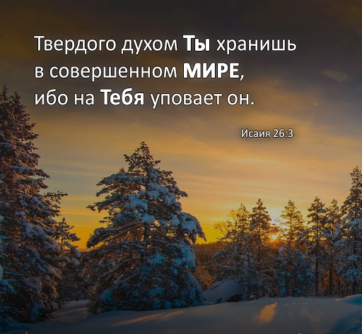 preview_image