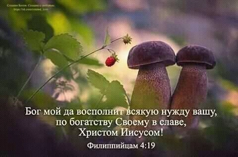 Послание к Филиппийцам (ч.18): Что ваш дар сделает для вас (4:14-20)