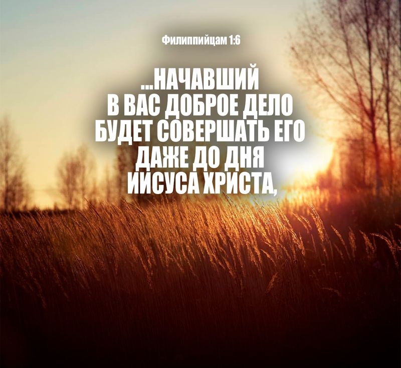 preview_image