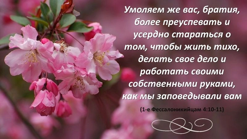 1 и 2 Фессалоникийцам (ч.9): Любовь и жизнь (1 Фес. 4:9-12)