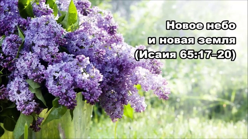 Пророк Исаия (ч.64): Божий «избранный» народ (65:1-25)