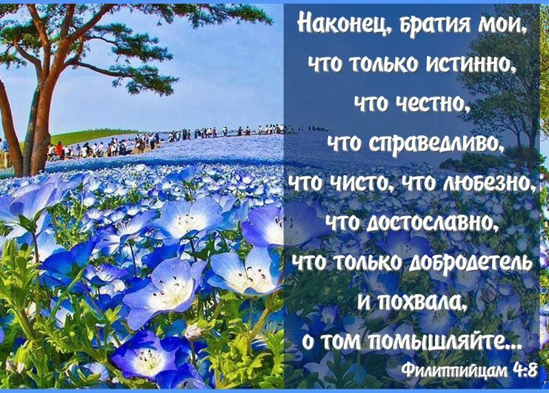 Послание к Филиппийцам (ч.16): Мыслить и поступать достойно христианина (4:8, 9)
