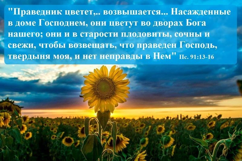 На самом ли деле благоденствуют делающие беззаконие?