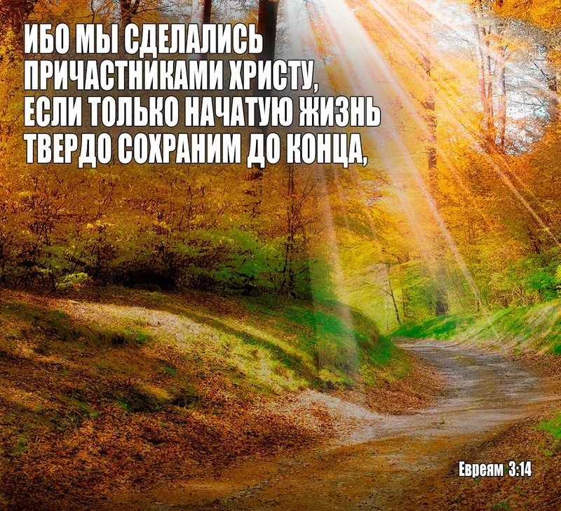 Послание к евреям (ч.13): Избегайте отступничества (3:12-19)