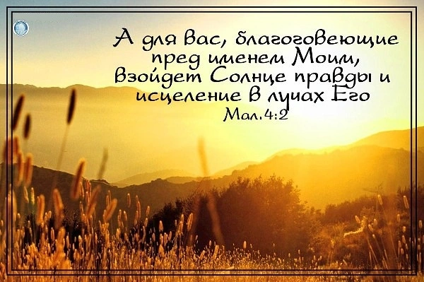 Божий приговор в отношении святости