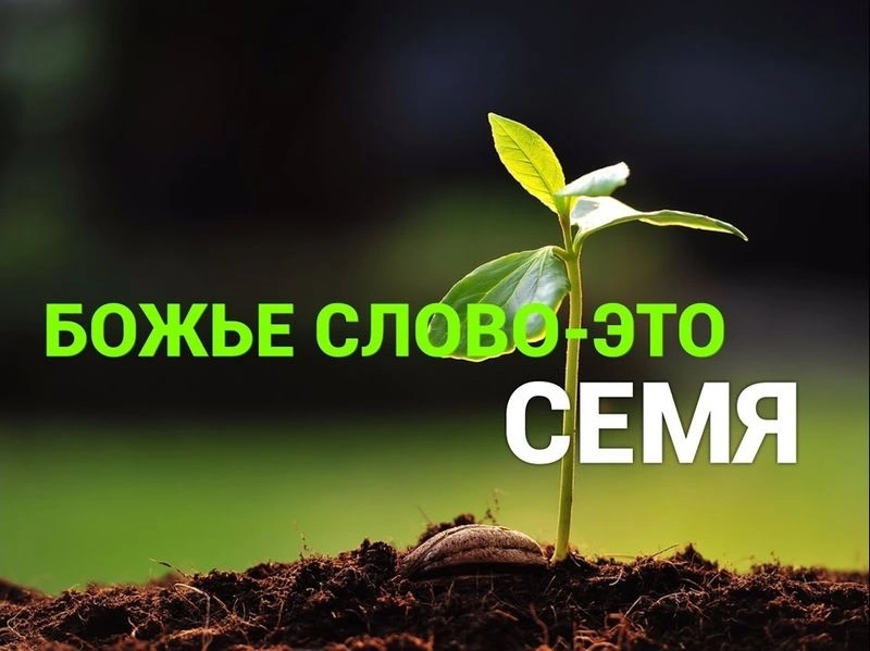 Концепция возрождения