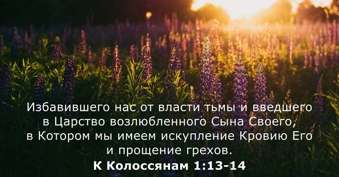 Послание к колоссянам (ч.13): Их и наше прощение в Христе (1:14)
