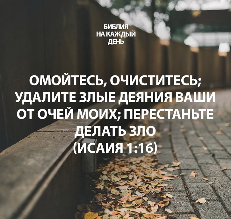 preview_image