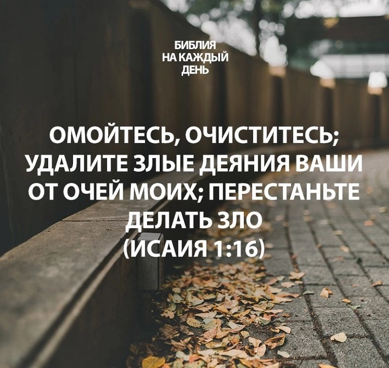 Пророк Исаия (ч.2): Обвинение непокорного народа (1:1-31)