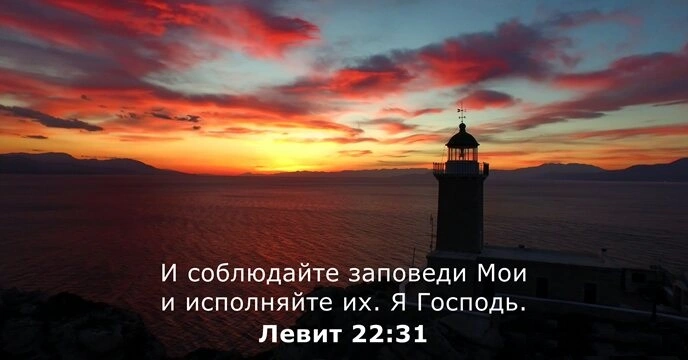 Книга Левит (ч.89): Дополнительные требования к приношениям (22:26-33)