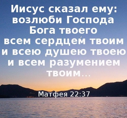 Приоритеты любви