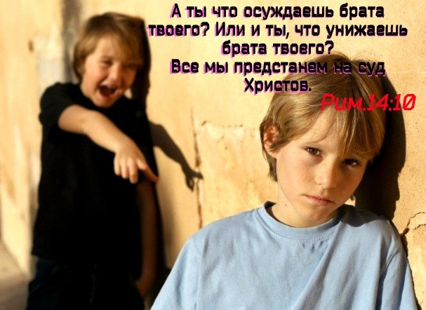 “Не судите”