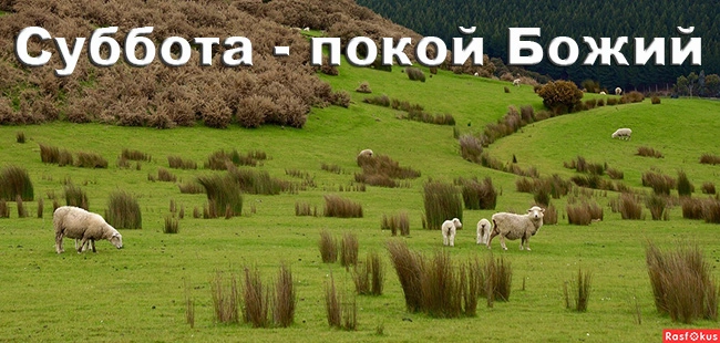 Книга Левит (ч.91): Суббота (23:3)