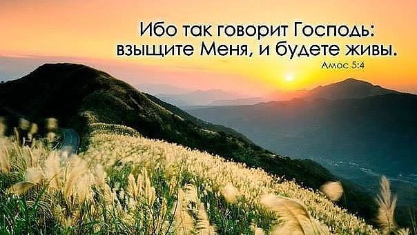 Взыщите Господа и будете живы