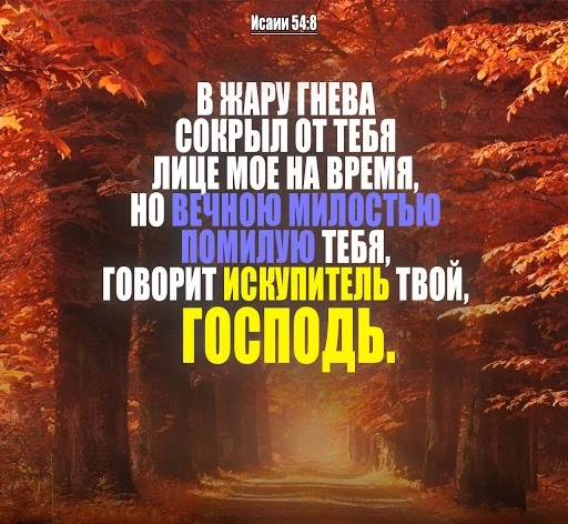 Пророк Исаия (ч.53): Благословения для верующих (54:1-17)
