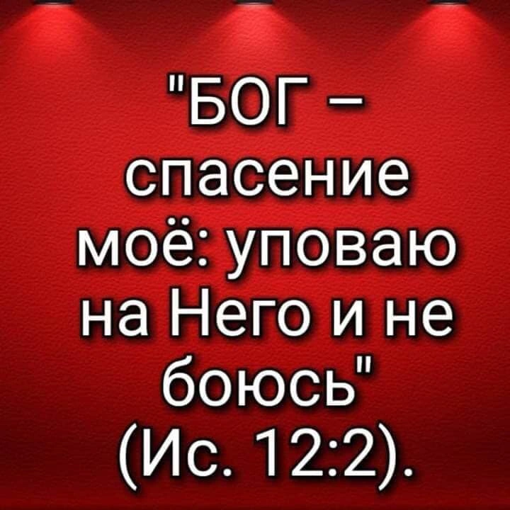 Пророк Исаия (ч.11): Новый правитель для земли Эммануила (11:1—12:6)