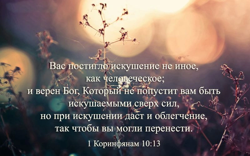 1 Коринфянам (ч.41): Поведение и совесть — 2: Примеры для нас (10:6–13)
