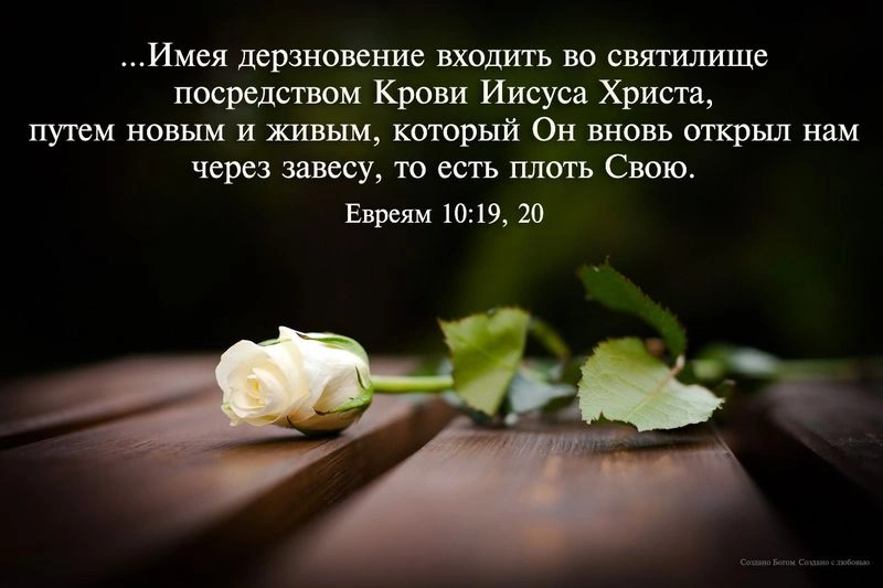 Новый завет — полное прощение
