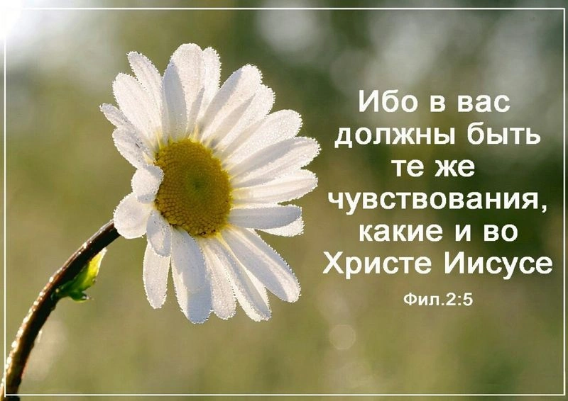 Эмоциональное проповедование
