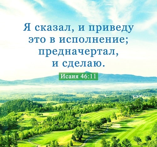 preview_image