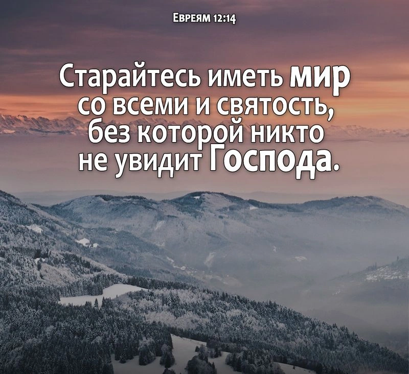 Послание к евреям (ч.52): Призыв к стойкости (12:12-17)