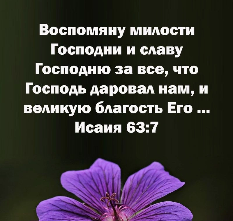 Пророк Исаия (ч.62): Божье наказание и милосердие (63:1-19)