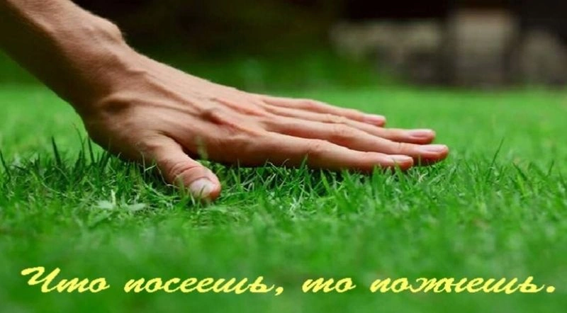 Замврий: закон жатвы