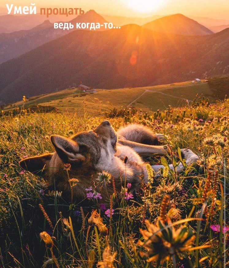 Как не отвечать злом на зло