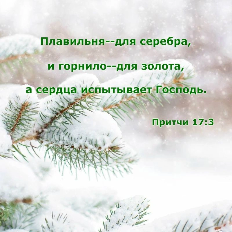 Послание к евреям (ч.12): «Не ожесточите сердца ваши» (3:7-11)