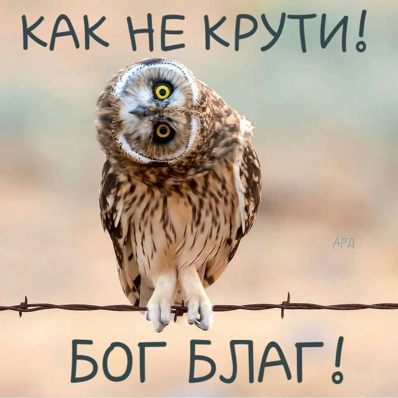 Бог достоин похвалы