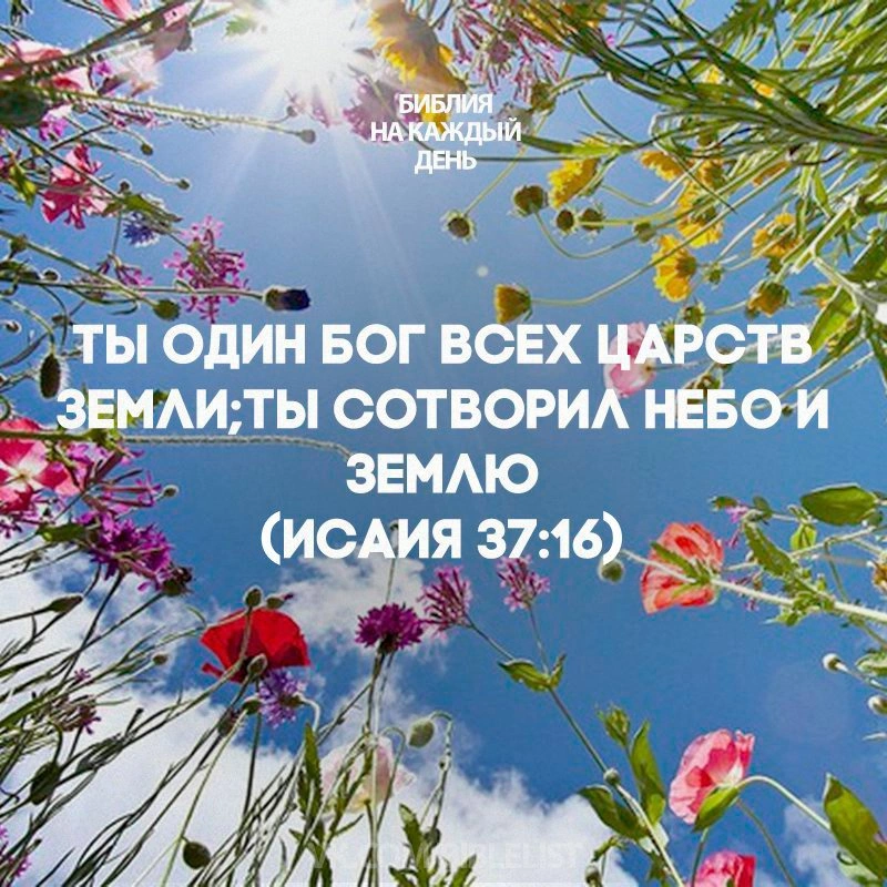Пророк Исаия (ч.35): Спасение, посланное Господом (36:1—37:38)