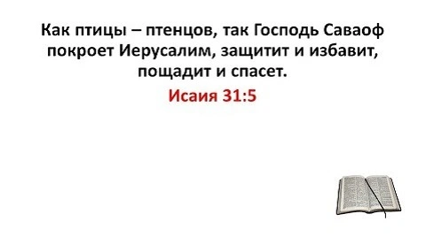 Пророк Исаия (ч.31): Горе уповающим на мирское (31:1-9)