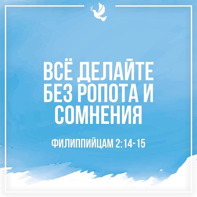 preview_image