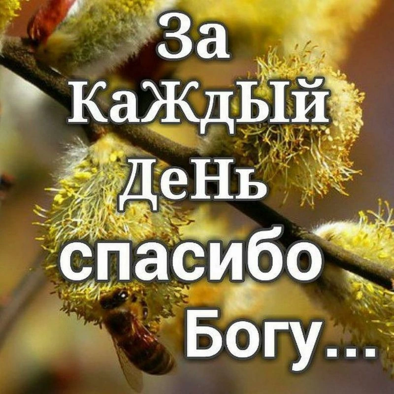 1 и 2 Фессалоникийцам (ч.5): Благодарные учителя (1 Фес. 2:12-20)
