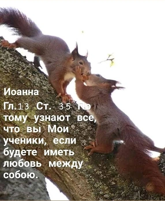 Как все могут узнать, что мы Его ученики?