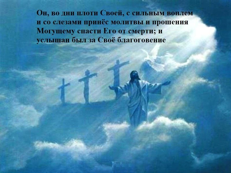 Послание к евреям (ч.19): Иисус правомочен быть нашим Первосвященником (5:5-10)