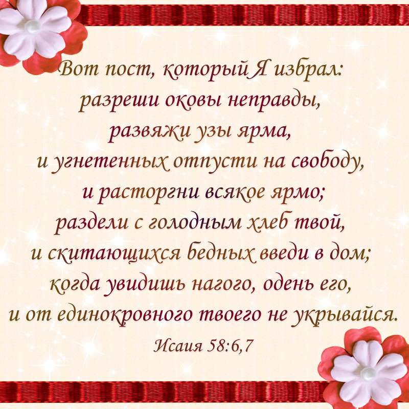 preview_image