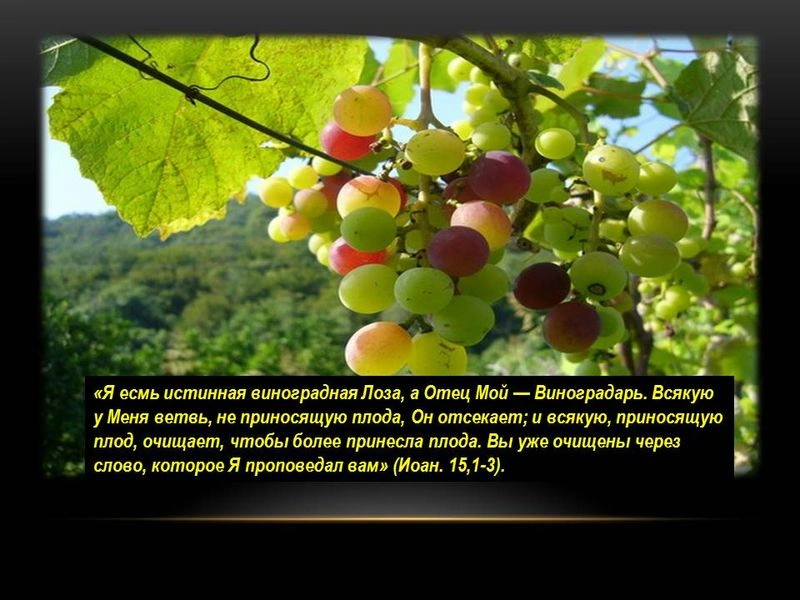 Связь с Христом