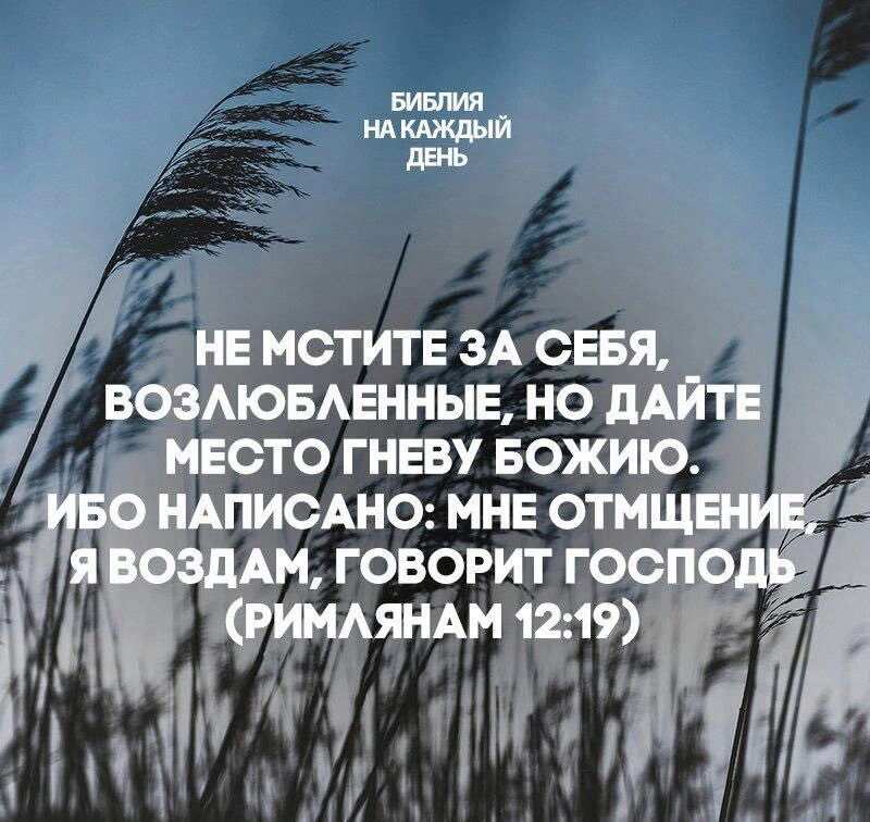 Когда душа требует мщения