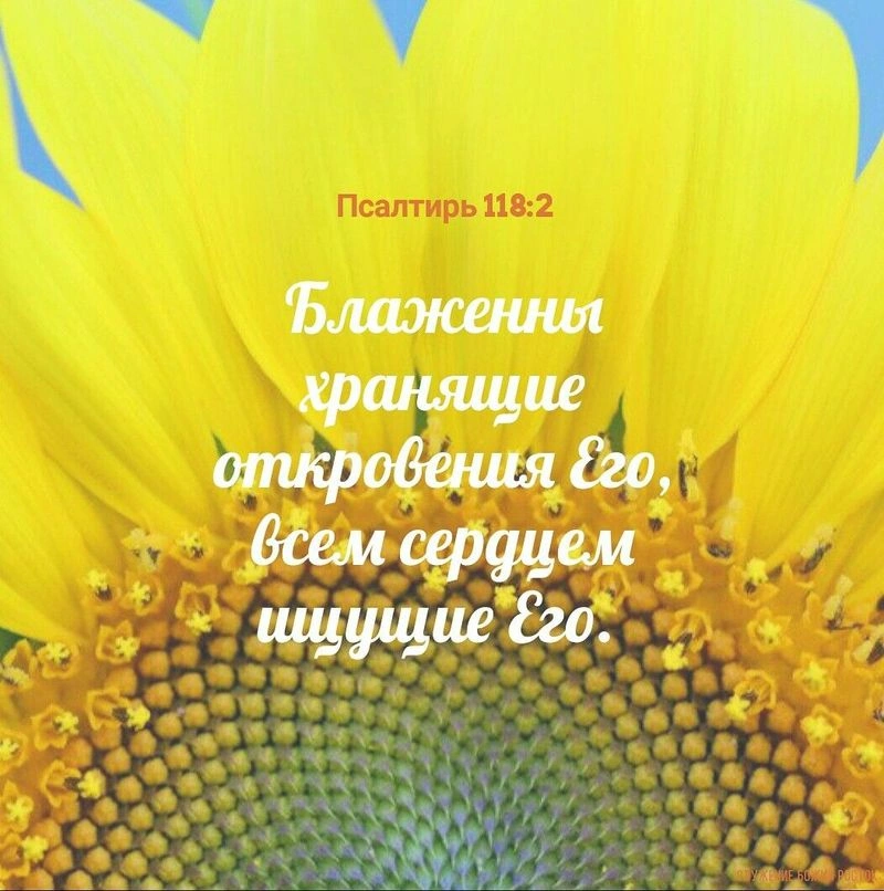 Краткий ответ на трудный вопрос