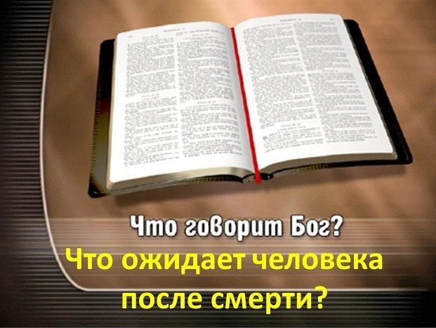Есть ли жизнь после смерти?