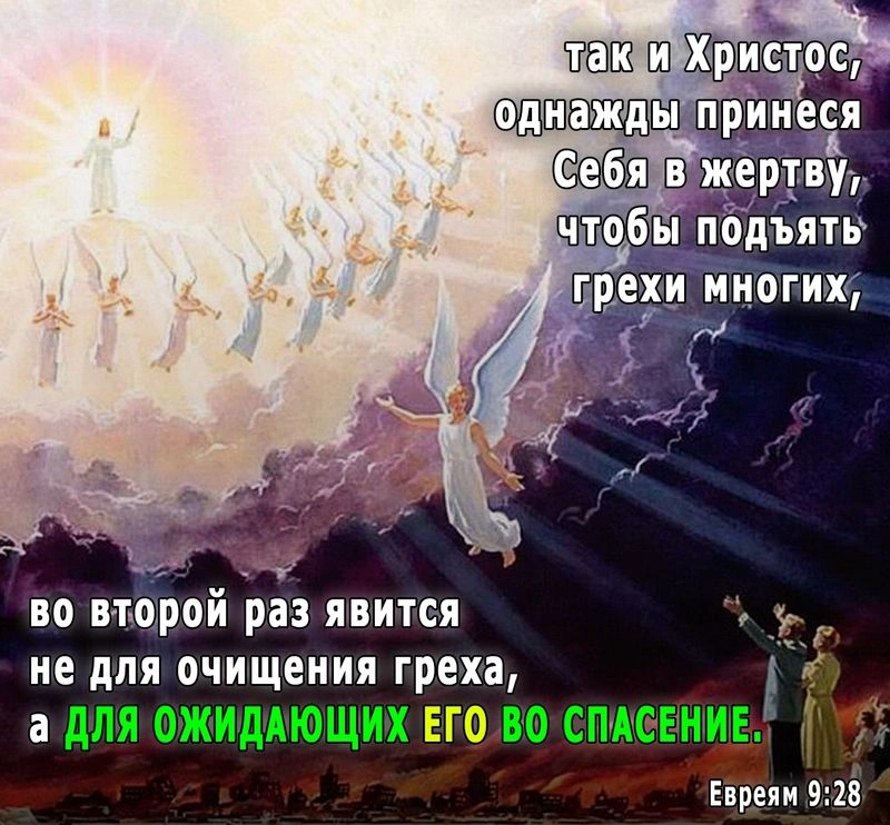 Послание к евреям (ч.33): «Однажды» (9:25-28)