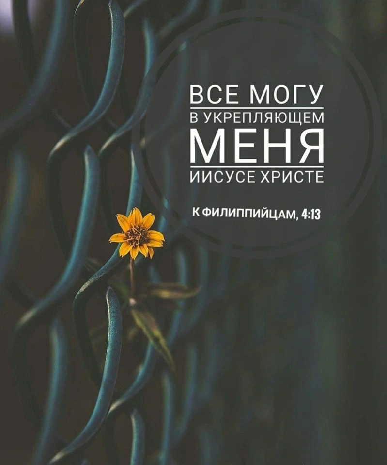 Послание к Филиппийцам (ч.17): Единственный «секрет», который нам нужно знать (4:10-14)
