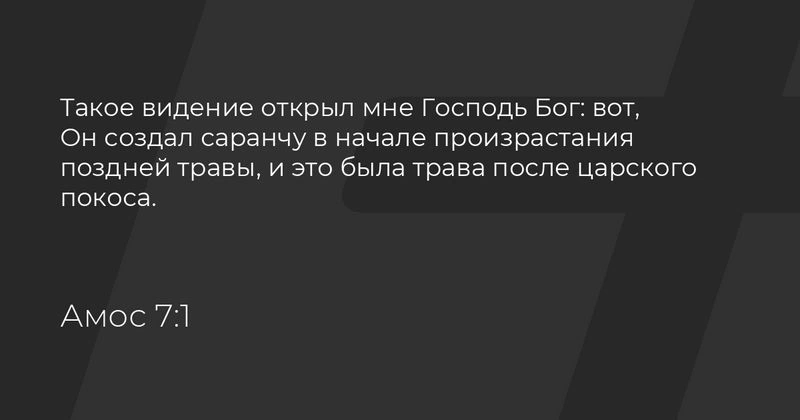 Видения Амоса