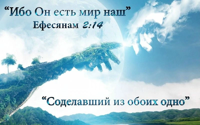 Новая раса