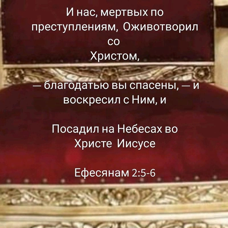 Мертвые или живые?